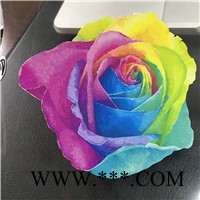 创时CS- 水性墨水可打印刻字膜厂家订做  批发图5