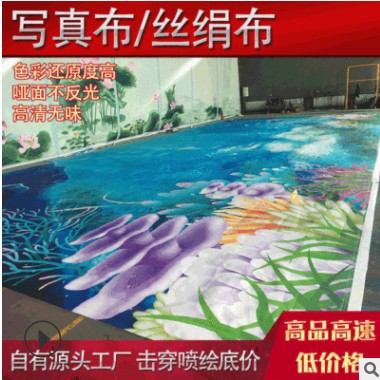 装饰写真布挂画写真喷绘布厂家定制高精度打印布婚纱写真广告布图2