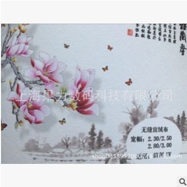 【大量批发】宽幅无缝宣绒墙布宣绒布宣影布2.3/2.5/2.8/3.05*50M图3