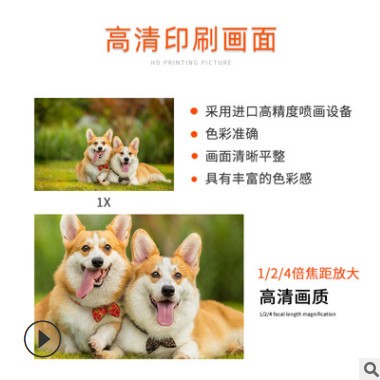 晟灿优质韩式x展架80x180婚礼落地式可调节齿轮海报架展示架批发图3