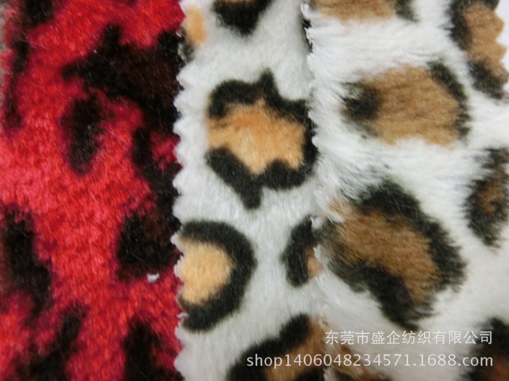 CIMG0551
