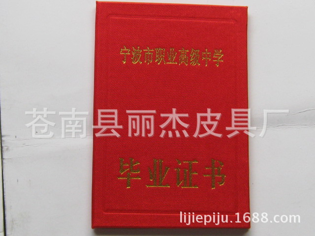 照片 446