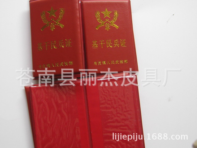 照片 330