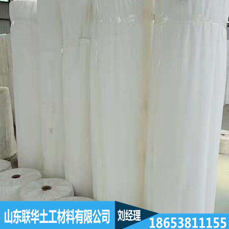 涤纶长丝纺粘热轧无纺布 (3)