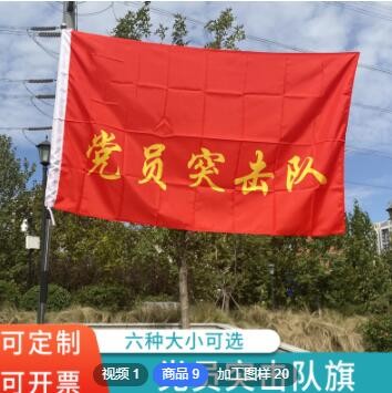 定制 各种队旗 党员突击队 党员先锋队 青年突击队旗子 免费印字图1