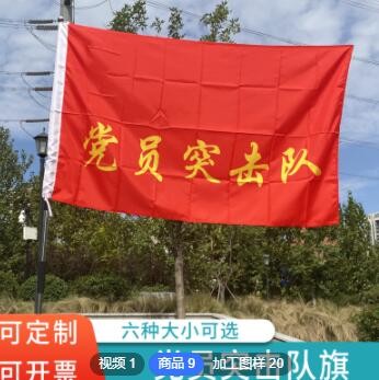 批发 定制 多尺寸 党员突击队 青年突击队 定做队旗 免费排版图3