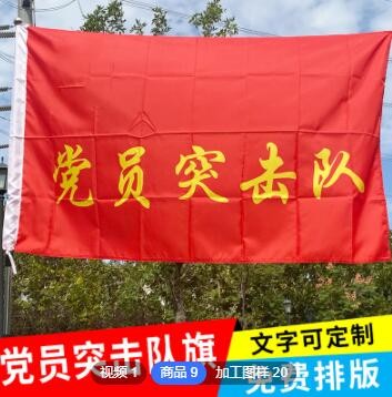 批发 定制 多尺寸 党员突击队 青年突击队 定做队旗 免费排版
