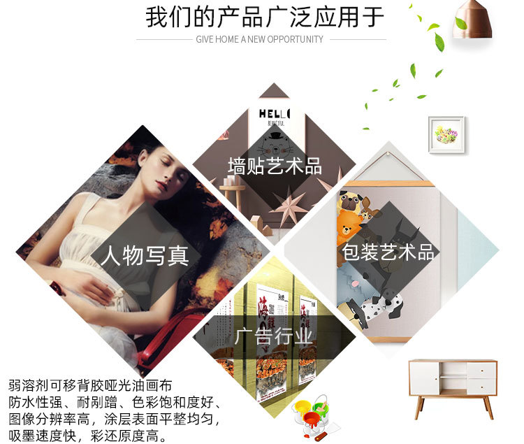 弱溶剂可移背胶哑光油画布_02.jpg