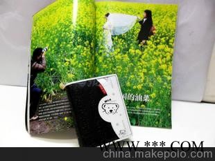 女士钱包女士韩版韩国短款卡通小熊 钱包 女式短款钱包