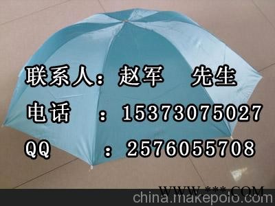 供应广告伞 广告伞 直杆广告伞 酒瓶广告伞定制图2