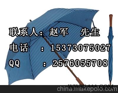 供应广告伞 广告伞 直杆广告伞 酒瓶广告伞定制图4