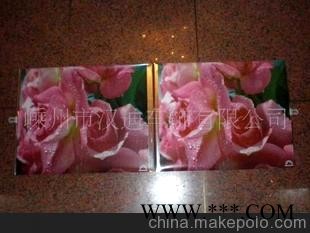 促销礼品、广告礼品、汽车太阳档