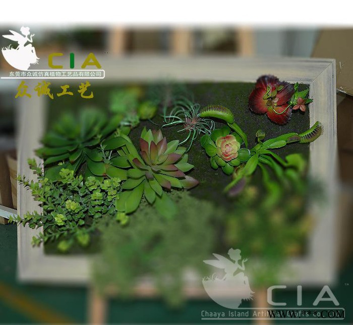 众诚CIA创意设计多肉唯美家居画架摆饰 时尚简约客厅绿植装饰图3