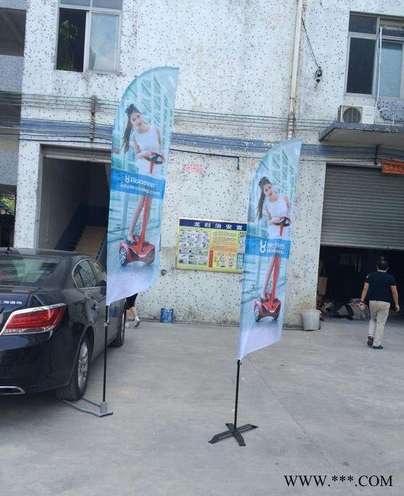 深圳市 全玻纤杆沙滩旗P形旗 铝合金旗杆注水旗杆 背包旗T图3