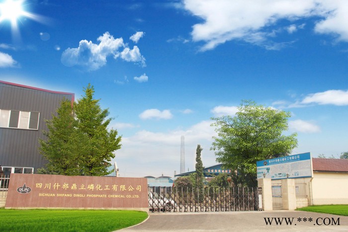 供应皮革消斑剂 DT-A901 鼎立牌图4