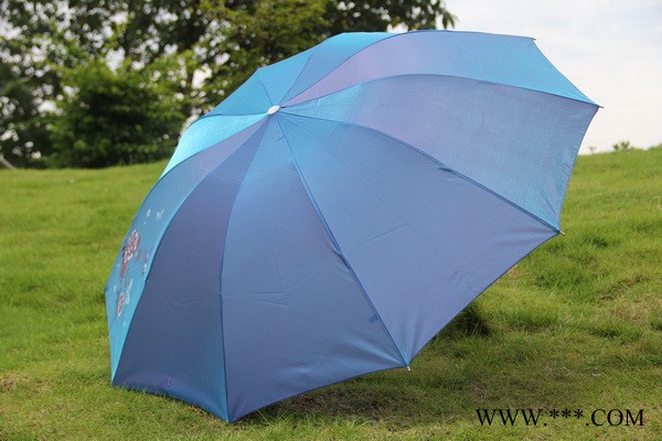 供应广东广州三益Sunny雨具|遮阳伞|雨伞|太阳伞折叠伞图2