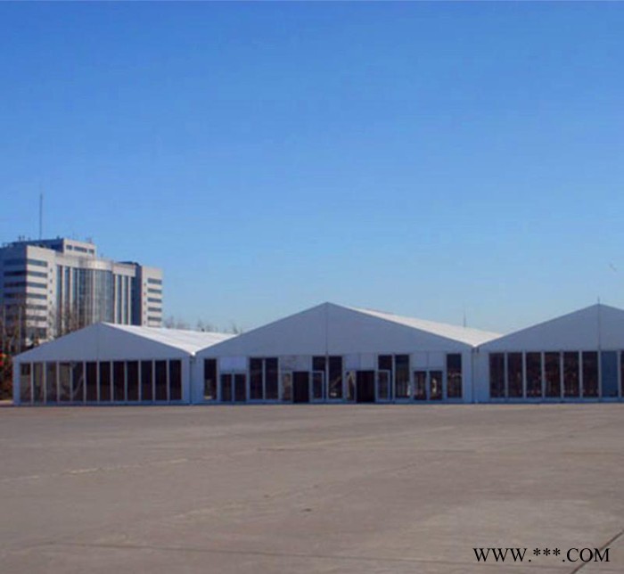 年货促销帐篷  户外大型促销帐篷  展览帐篷图2