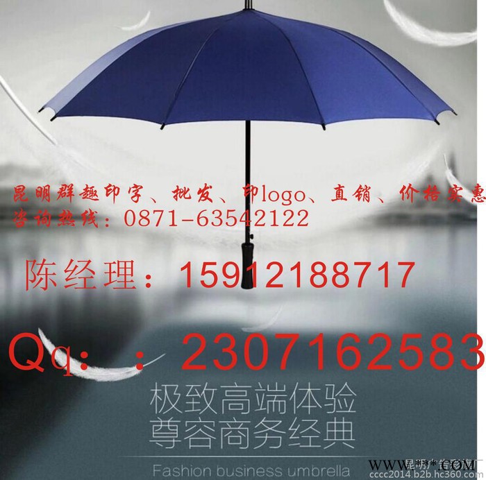 昆明广告雨伞印字/广告伞/罗马伞/直把伞/帐篷伞/太阳伞/伞骨配置以及伞布材质图2