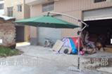 户外庭院伞 手摇中柱休闲座椅伞 遮阳防雨太阳伞 8股防风图3