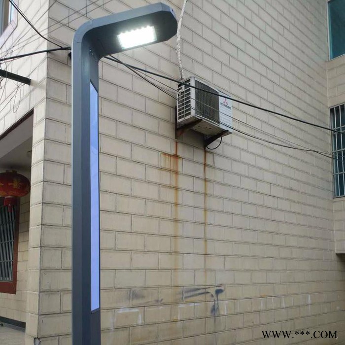 FNZH/伍玖照明JGD0643 铝型材庭院灯厂家 常州景观灯厂家 4米30瓦LED庭院灯定做 欢迎来图定做图1