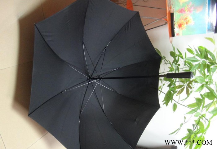 厂家订做全纤维双层防风全自动高尔夫广告伞 太阳伞、防风雨伞图2