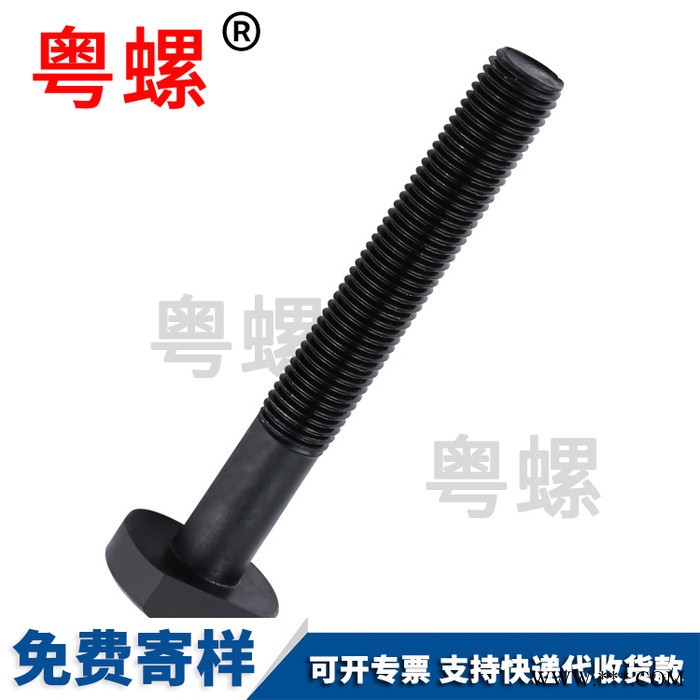 东莞生产铝型材T形槽用螺丝  粤螺T型带台阶螺丝 欧标45型材图1