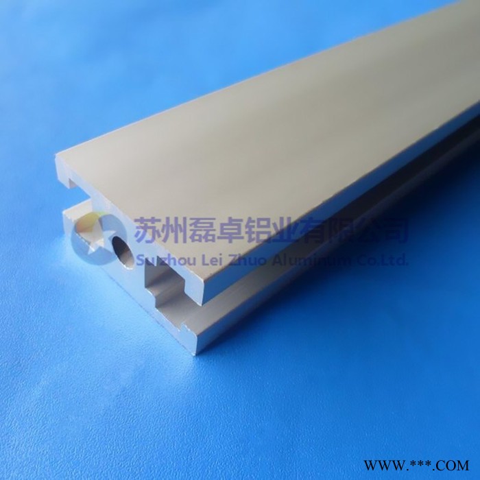 **苏州磊卓铝业流水线铝合金型材2040欧标工业铝型材LZ-8-2040A铝合金门窗框6063-T5材质表面阳极氧化图3