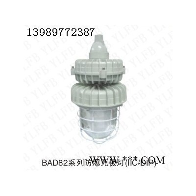 供应耀雷防爆BAD82BAD82系列防爆无极灯