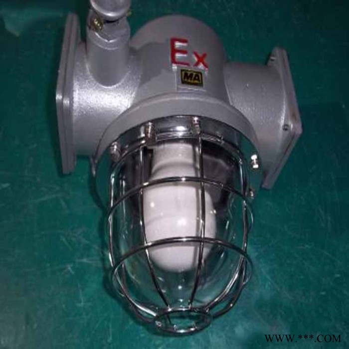 Caidian/蔡电220V控制器 太阳能灭蚊灯控制器支持定制质保两年支持一件代发支持跨境电商代货图7