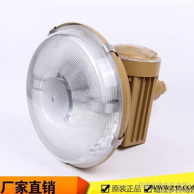 长寿免维护防爆灯 SBD1102-W120节能防爆无极灯 低耗防爆低顶灯