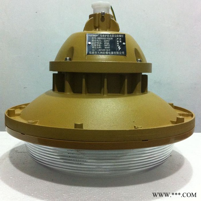 天网防爆SBF6107-YQL40C1 三防应急无极灯图4