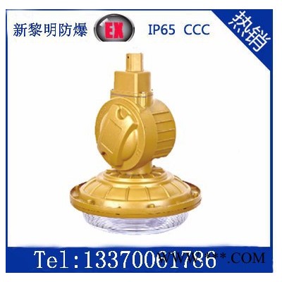 SBD1106免维护节能防爆灯，森本防爆无极灯，65W电磁感应灯