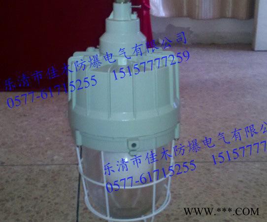 BAD83-85B1H壁装85W高频防爆无极灯图3