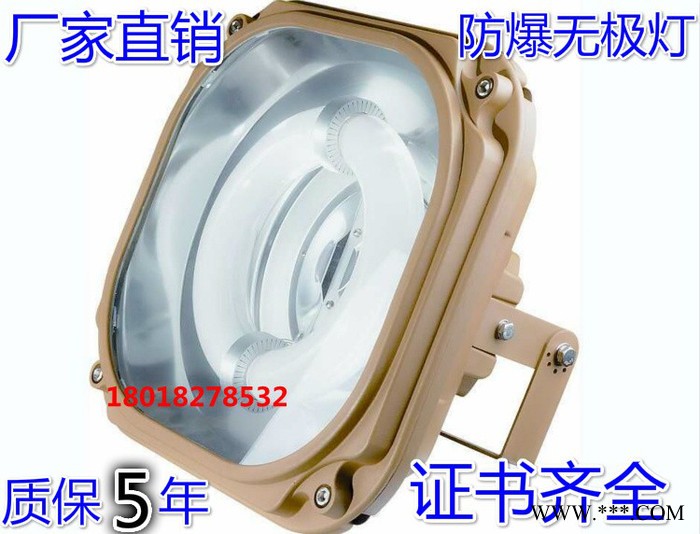 森本免维护节能防爆灯SBD1130-YQL150 防爆泛光灯150W 防爆无极灯图2