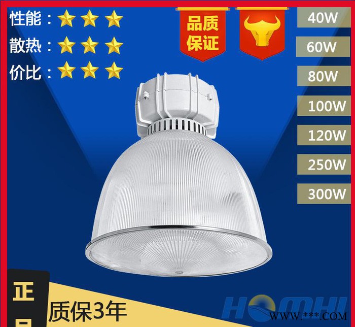 广东低频无极灯工矿灯 工厂灯高悬灯 40/60/80/100W 超市仓库车间图2