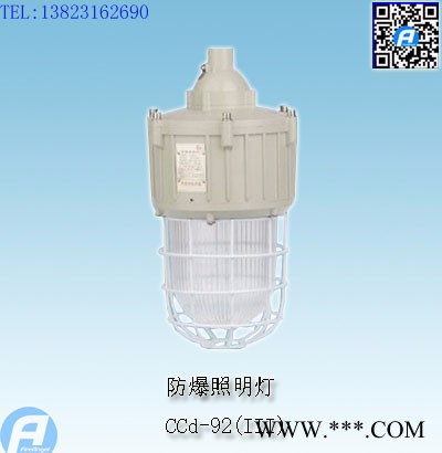 CCd-92防爆照明灯(高频无极灯)图4
