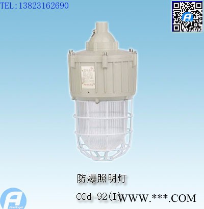 CCd-92防爆照明灯(高频无极灯)图2