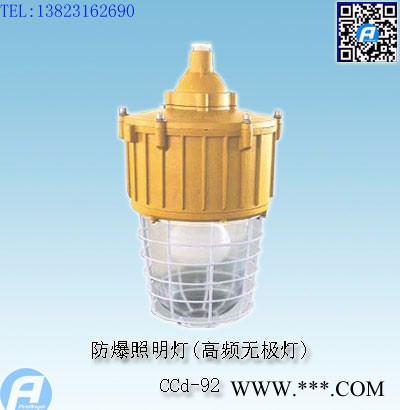 CCd-92防爆照明灯(高频无极灯)图5