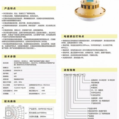 上海新黎明FZD6102-YQL40防爆无极灯，江苏新黎明科技防爆泛光无极灯，森本无极灯厂家、新黎明科创厂家