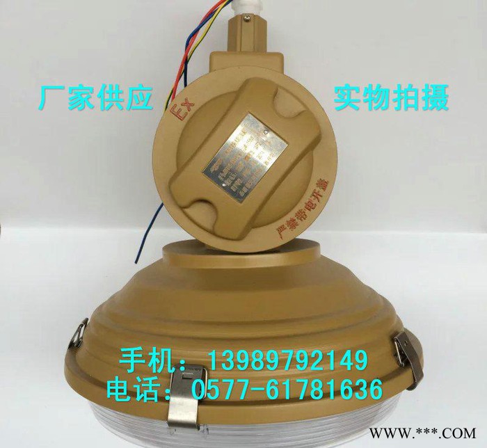 SBD1105-YQL120C2免维护防爆无极灯 120W吸图3