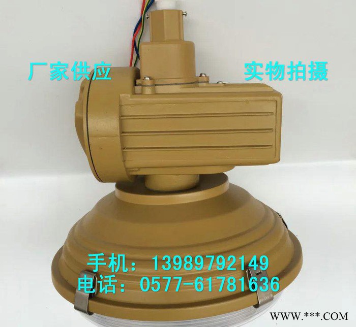 SBD1105-YQL120C2免维护防爆无极灯 120W吸图2