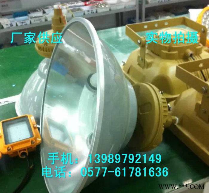 免维护三防无极灯SBF6110-YQL150 防水防尘防腐灯图2