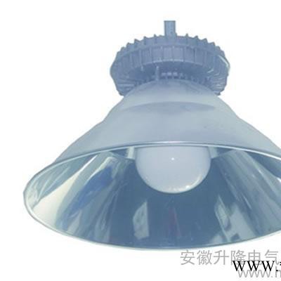 供应升隆无极灯 电磁感应灯  无极灯厂家