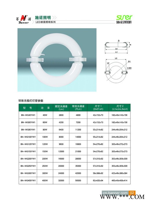 供应低频无极灯300W