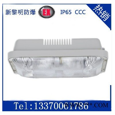 海洋王NFC9175免维护节能长寿顶灯 防水防尘低频无极灯