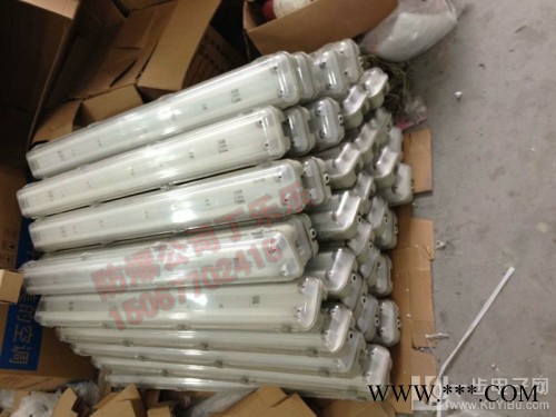 BYS-2X40W防爆防腐全塑荧光灯双脚/单脚灯管  防爆防腐双管荧光灯图2