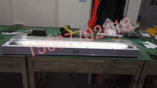 生产BHY-2X36W防爆洁净荧光灯吸顶式 单脚灯管 可带应急90分钟图2