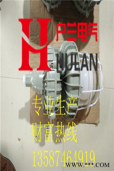 60W80W防爆无极灯 BAD83低碳节能无极灯图6