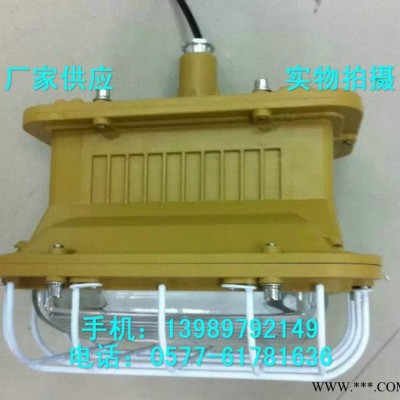 SBD1101-YQL50A免维护防爆吊灯 防爆节能无极灯