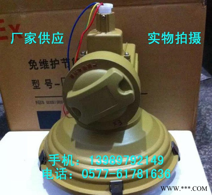 SBF6105-YQL120B吸顶式免维护节能防爆无极灯图3